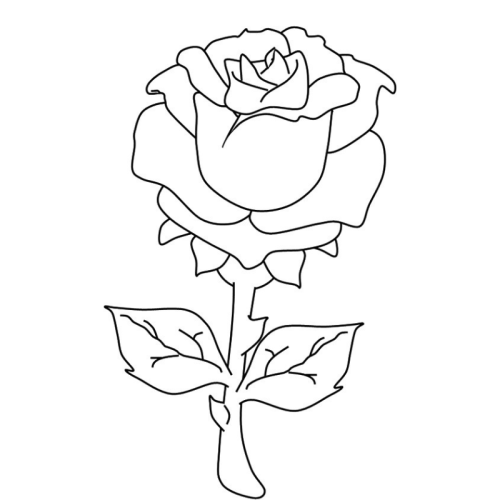 Tô màu Bông hoa hồng