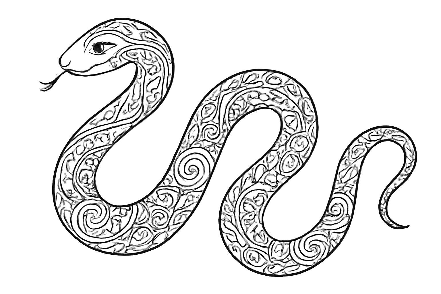 Tô màu con rắn 2025 - Tranh tô màu con rắn cho bé PDF