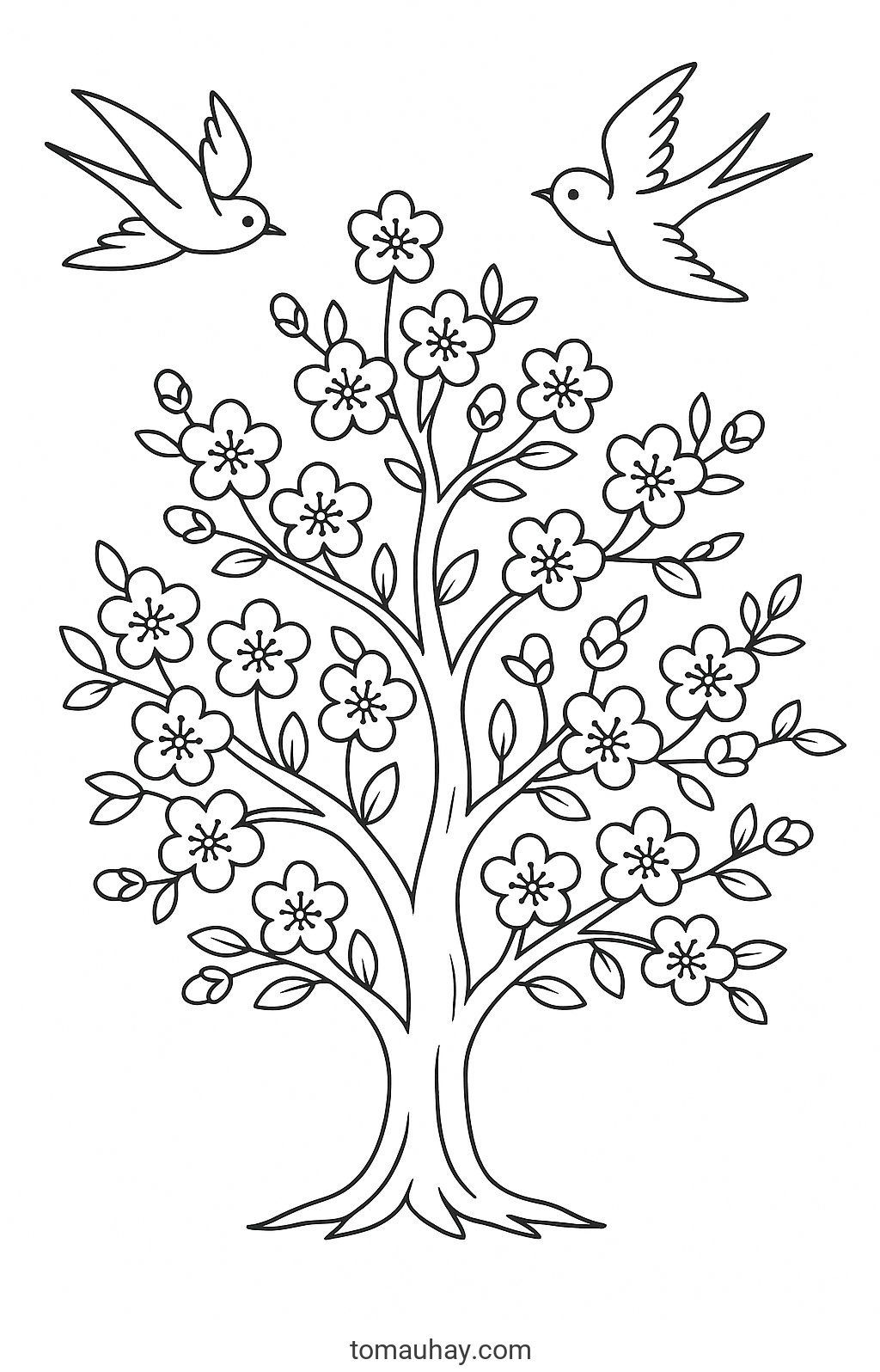 Tranh tô màu ngày Tết Nguyên Đán cho bé 2026 đẹp nhất - Tranh tô màu Cây mai vàng