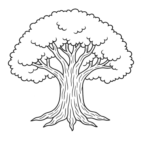 Tô màu cây xanh cho bé 2025 | Tranh tô màu PDF miễn phí