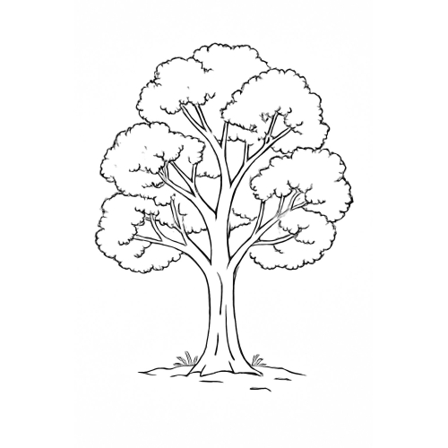 Tô màu cây xanh cho bé 2025 | Tranh tô màu PDF miễn phí