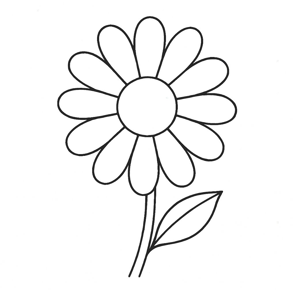 Hình hoa nhiều màu sắc