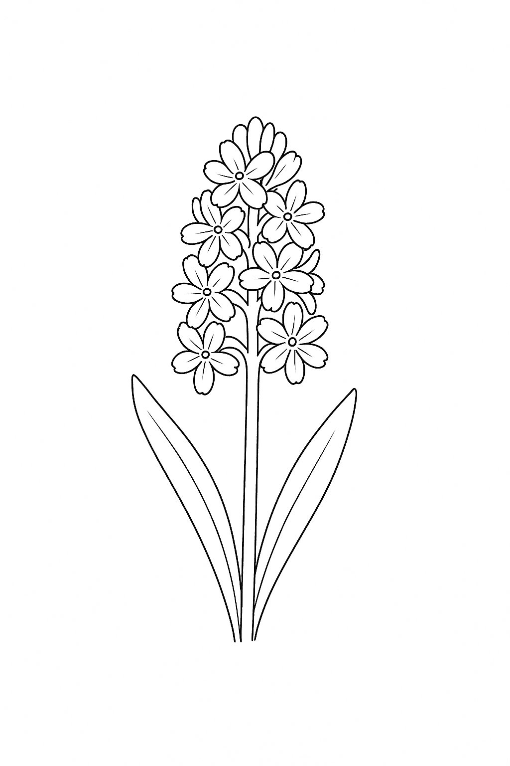 Hoa dạ lan hương