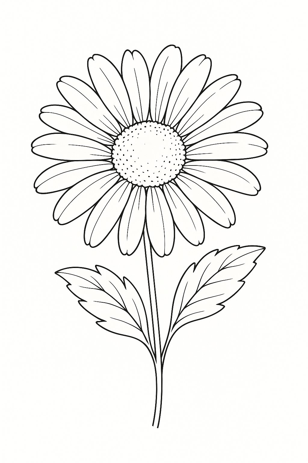 Phong cách hoa cúc dịu dàng