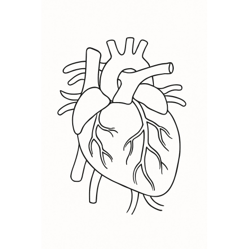 Tranh Tô Màu Các Bộ Phận Trên Cơ Thể Cho Bé Năm 2025