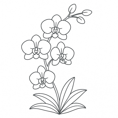 Tranh Tô Màu Các Loại Hoa Cho Bé Năm 2025 - Khám Phá Thiên Nhiên