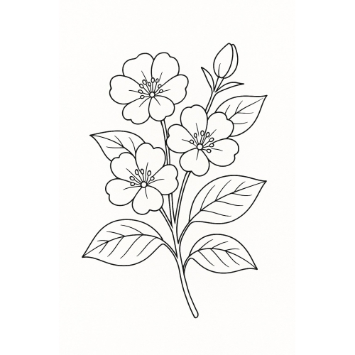 Tranh Tô Màu Các Loại Hoa Cho Bé Năm 2025 - Khám Phá Thiên Nhiên