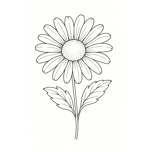 Tranh Tô Màu Hoa Cúc Cho Bé Năm 2025 - Hình Tô Màu Miễn Phí