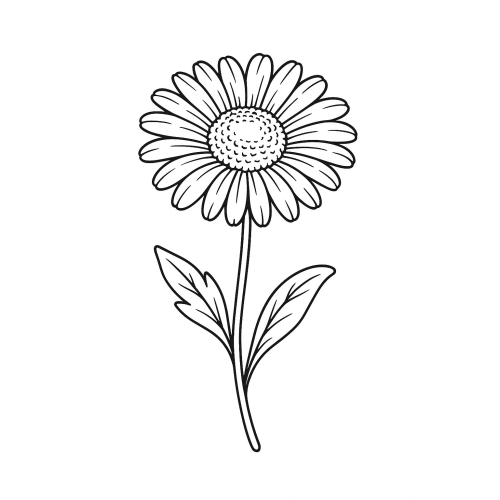 Tranh Tô Màu Hoa Cúc Cho Bé Năm 2025 - Hình Tô Màu Miễn Phí