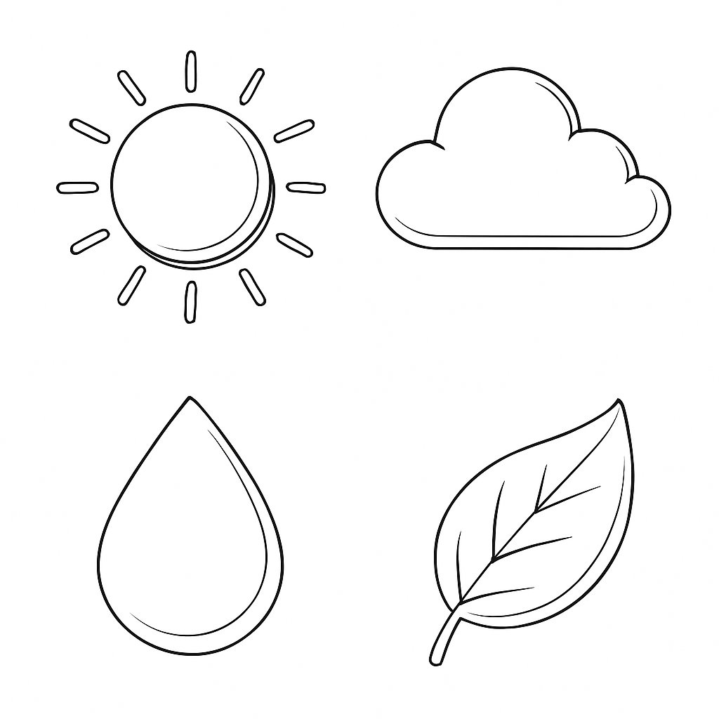 Tranh tô màu hiện tượng tự nhiên cho bé 2025 - Sáng tạo và học hỏi