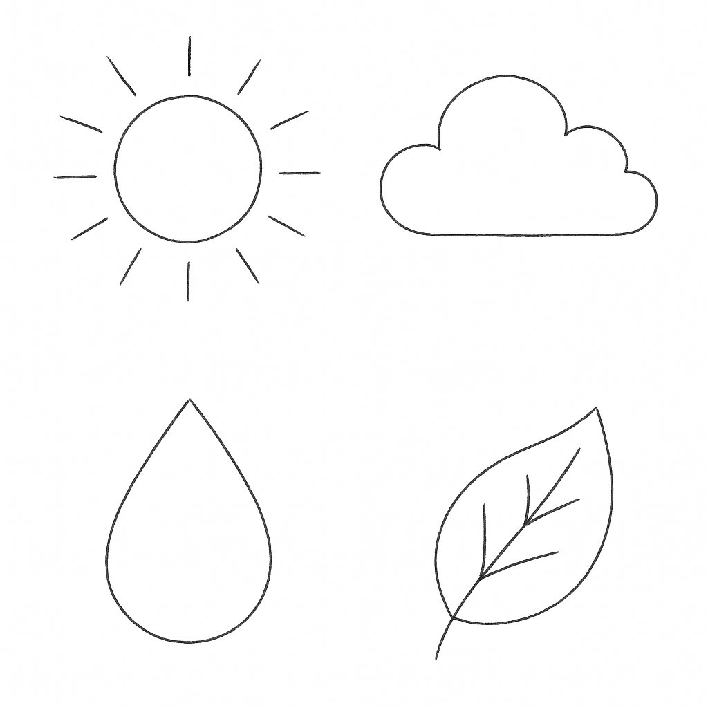 Hiện tượng tự nhiên phác thảo