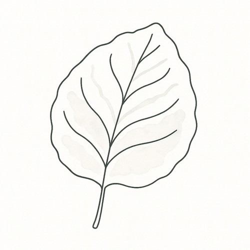 Tô màu chiếc lá cho bé 2025 – Hình tô màu dễ thương