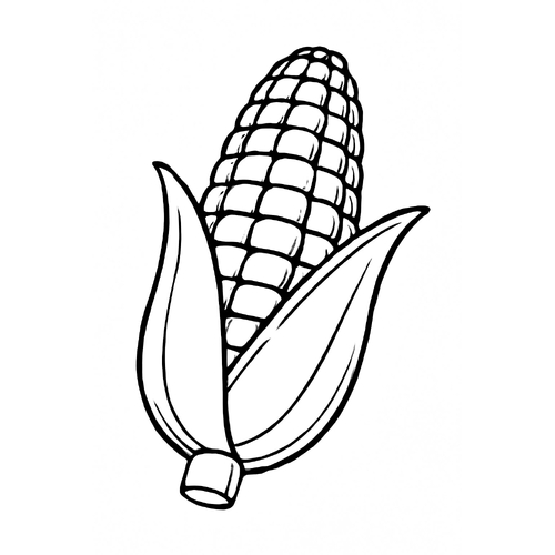 Tô màu bắp ngô cho bé 2025 – Tải PDF miễn phí