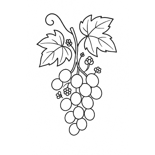 Tô màu chùm nho cho bé 2025