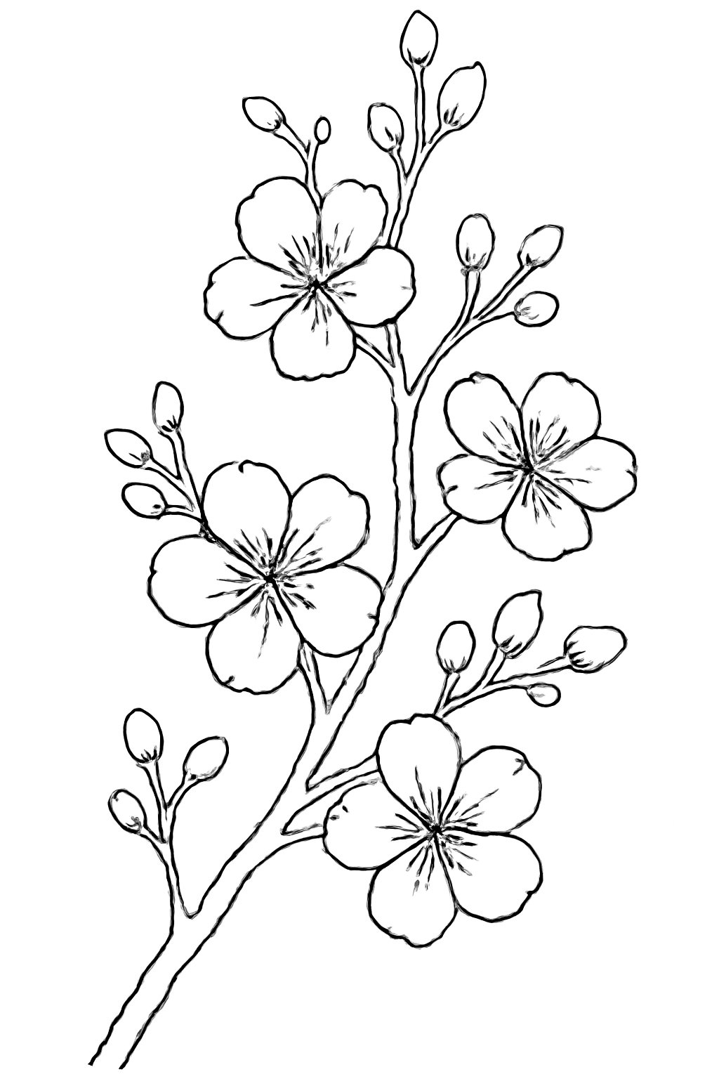 Phong cách Truyền Thống