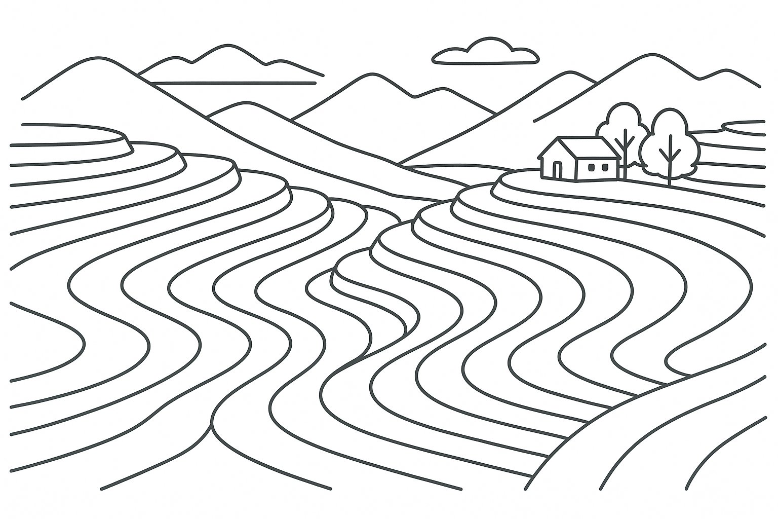 Ruộng bậc thang nhìn từ trên cao