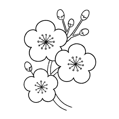Tranh tô màu cành hoa mai cho bé PDF đẹp, dễ in 2025