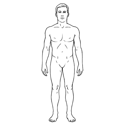 Hình tô màu cho bé 4 tuổi 2025 | Tải PDF miễn phí