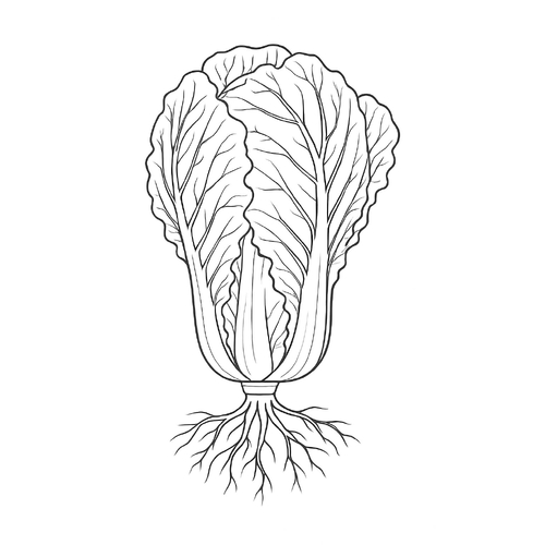 Tranh tô màu rau cải cho bé 2025