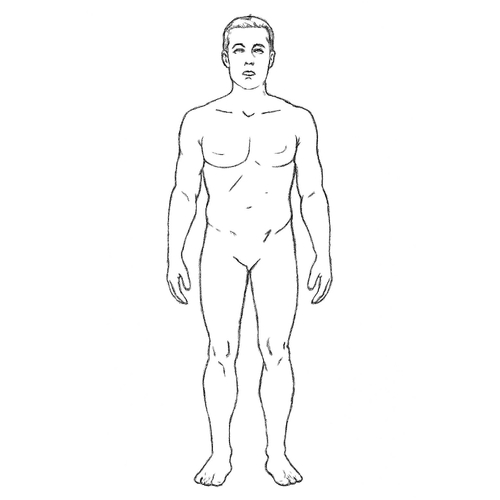 Hình tô màu cho bé 4 tuổi 2025 | Tải PDF miễn phí