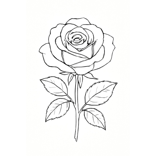 Tranh tô màu hoa hồng đẹp cho bé 2025 | Tải PDF