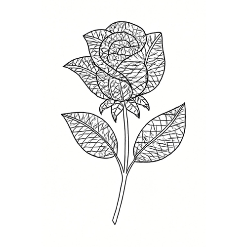 Tranh tô màu hoa hồng đẹp cho bé 2025 | Tải PDF