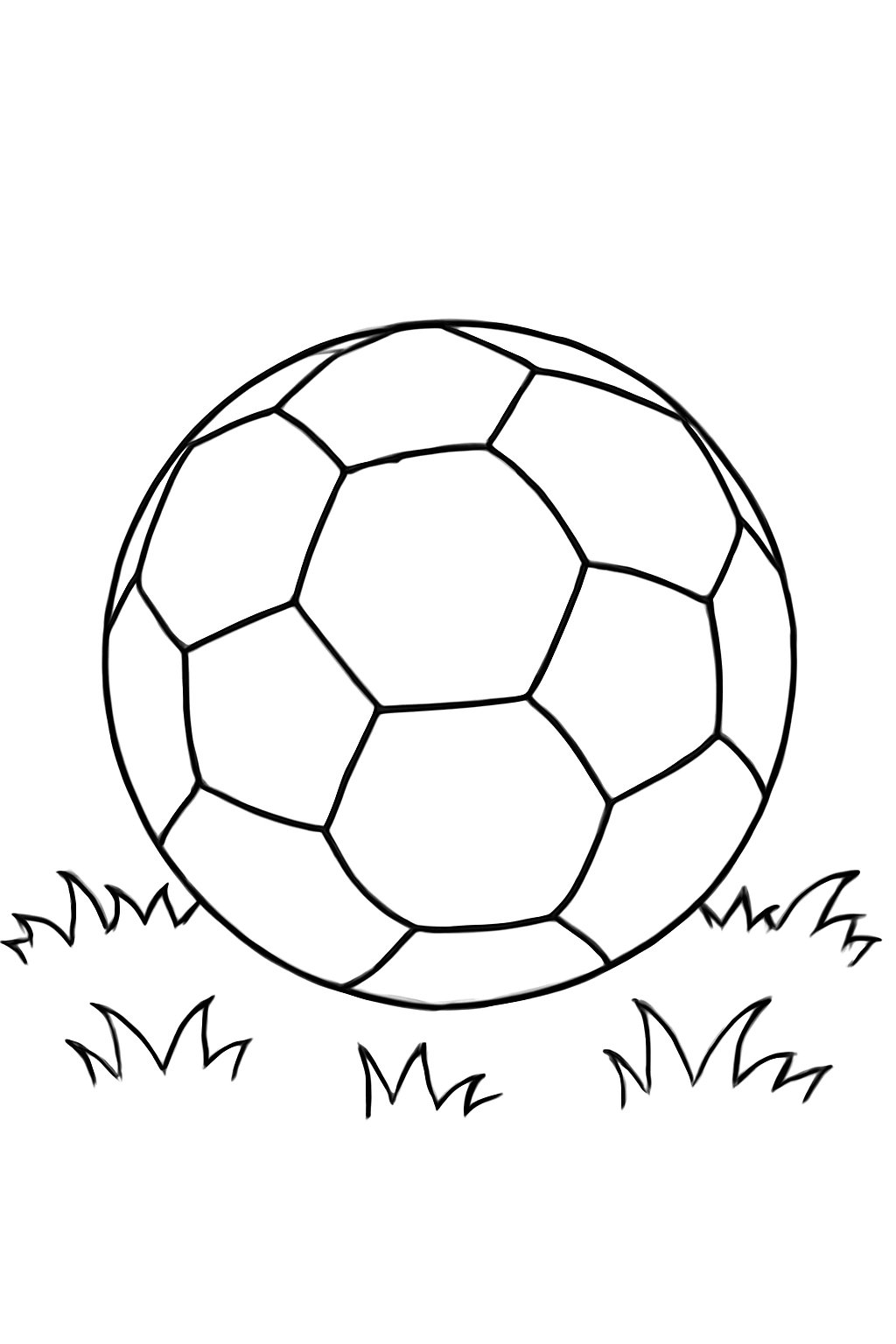 Quả bóng trên sân cỏ