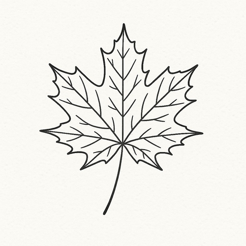 Tranh tô màu giấy tô màu nước cho bé 2025 –