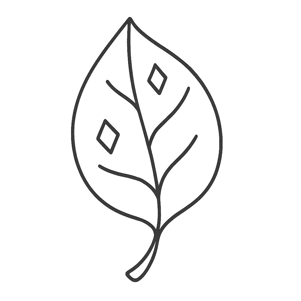 Lá cây huyền bí