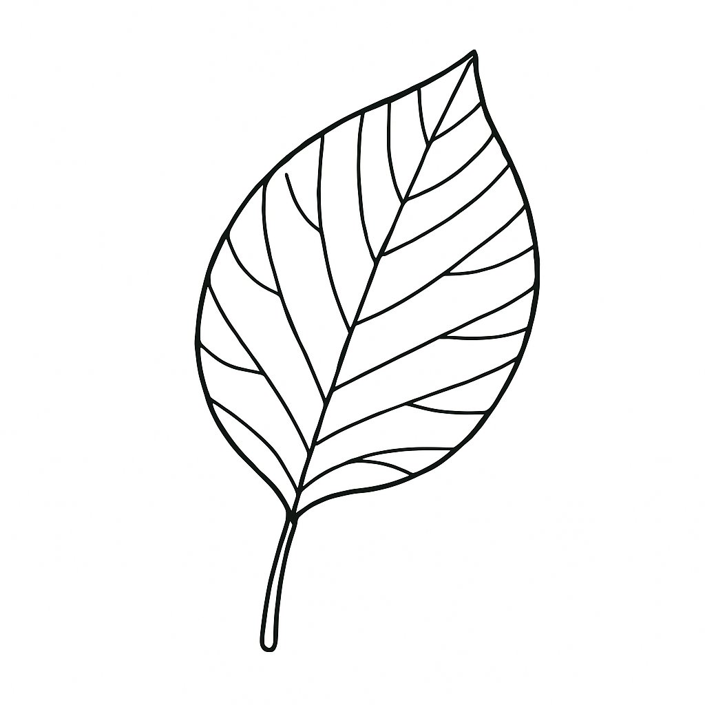 Lá cây phong cách tĩnh vật