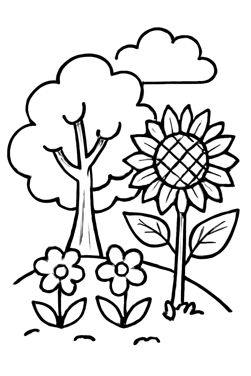 Tô màu thiên nhiên