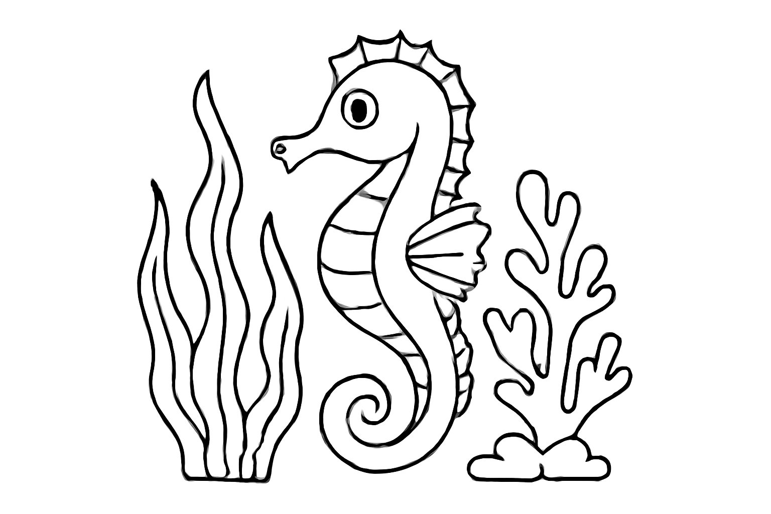 Cá ngựa đại dương