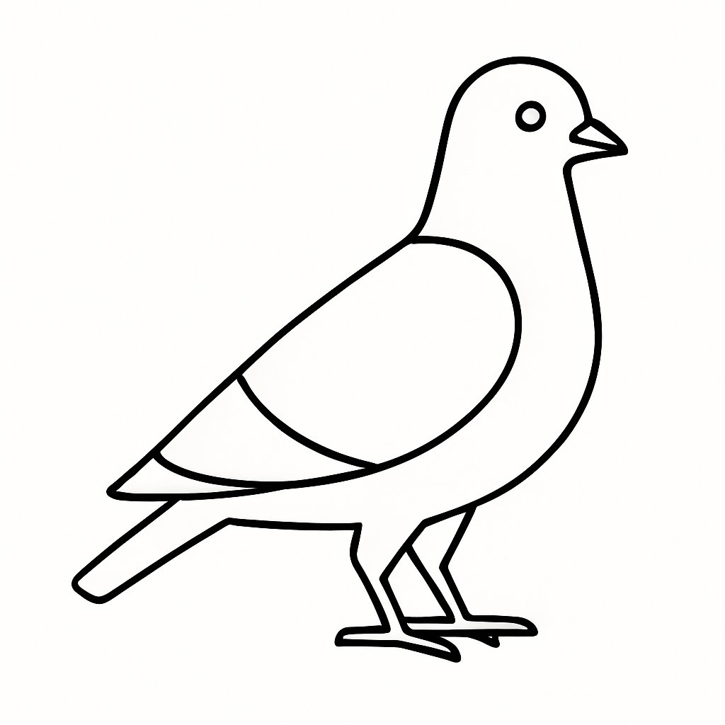 Chim bồ câu hiện đại