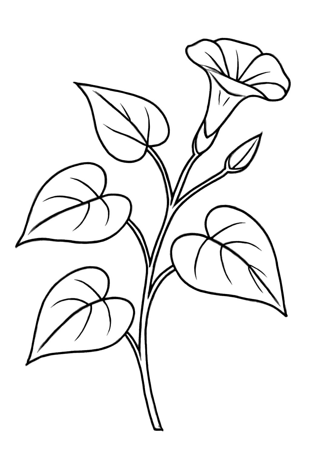 Cổ điển đơn giản