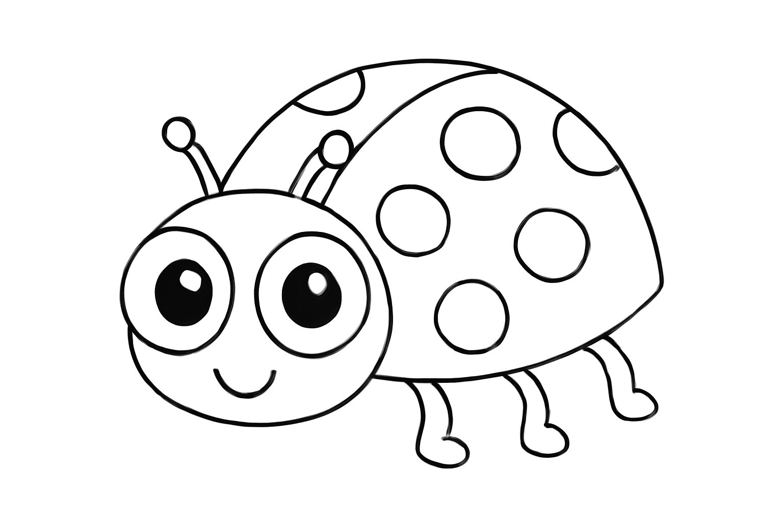 Bọ rùa dễ thương