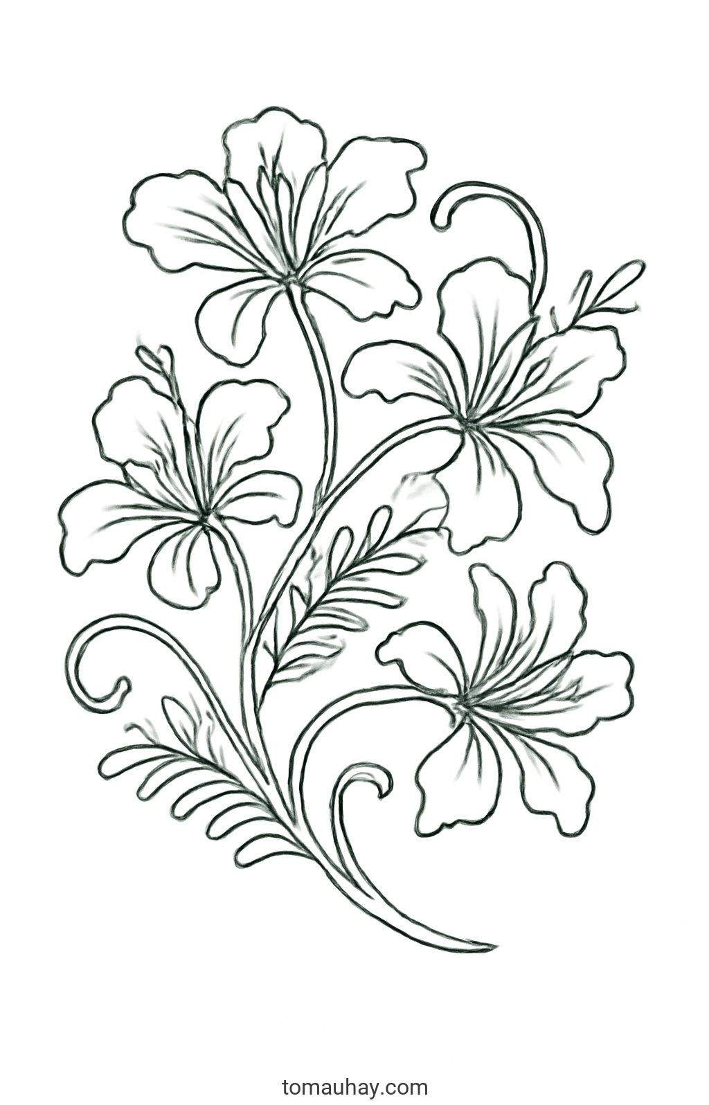 Tranh tô màu hoa phượng cho bé đẹp sáng tạo 2026 - Phong cách nghệ thuật