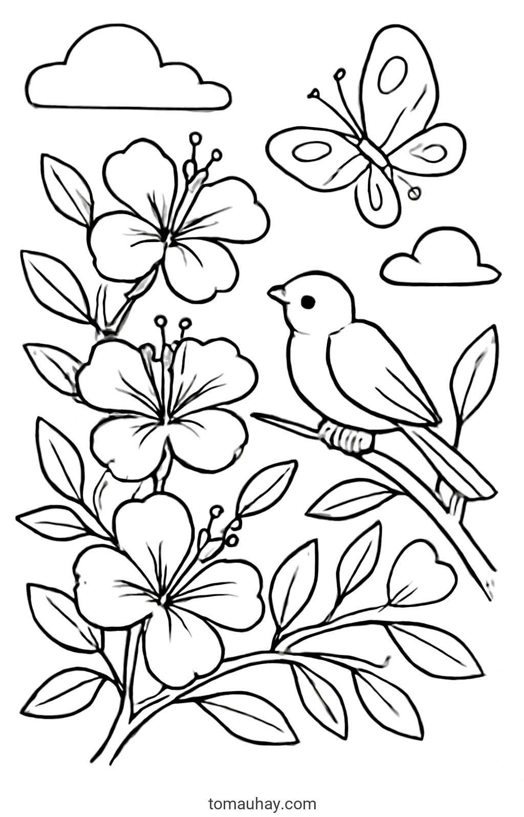 Tranh tô màu hoa phượng cho bé đẹp sáng tạo 2026 - Phong cách thiên nhiên