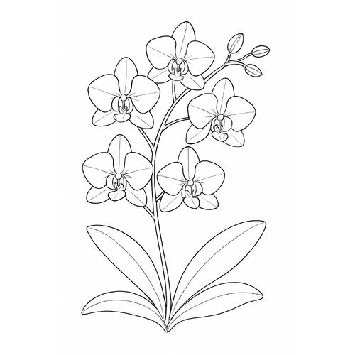 Tranh tô màu cây hoa 2025 – PDF cho bé