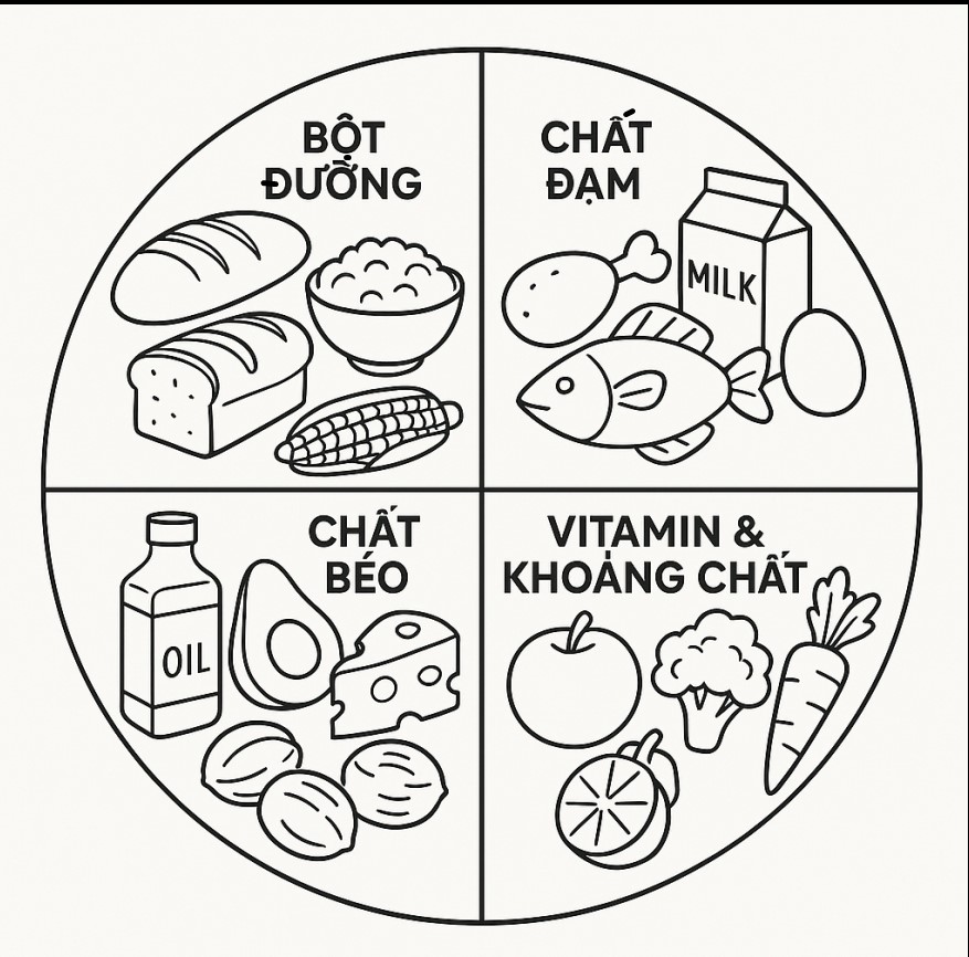 Tranh tô màu 4 nhóm thực phẩm 2025 để bé hiểu giá trị dinh dưỡng
