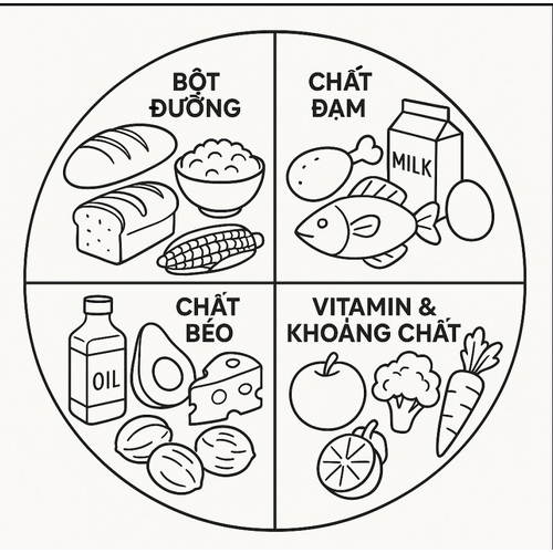 Tranh tô màu 4 nhóm thực phẩm 2025 để bé hiểu giá trị dinh dưỡng