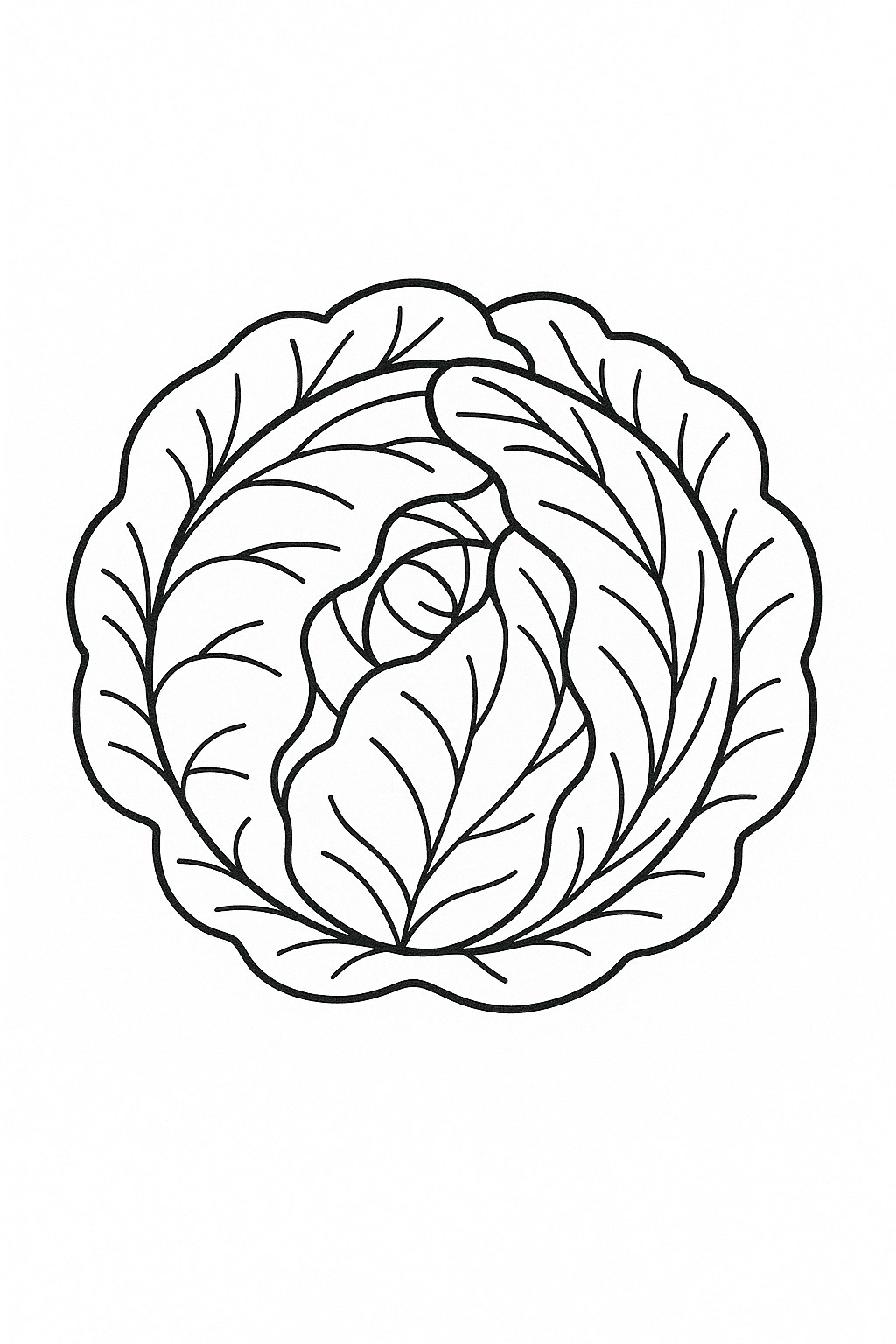 Bắp cải tím nghệ thuật