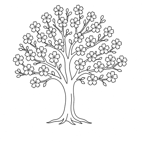 Tranh tô màu tô màu cây mai cho bé đẹp nhất 2025
