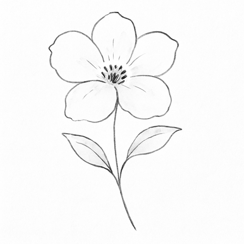 Tô màu phim hoạt hình cho bé sáng tạo và học hỏi 2025