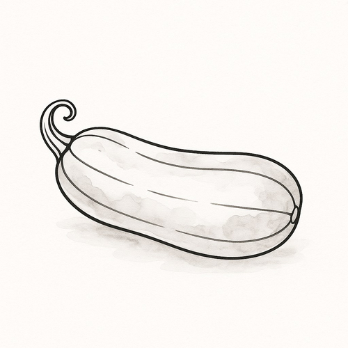 Tranh tô màu quả bí xanh cho bé đẹp nhất 2025