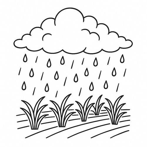 Tranh tô màu mây mưa cho bé sáng tạo 2025