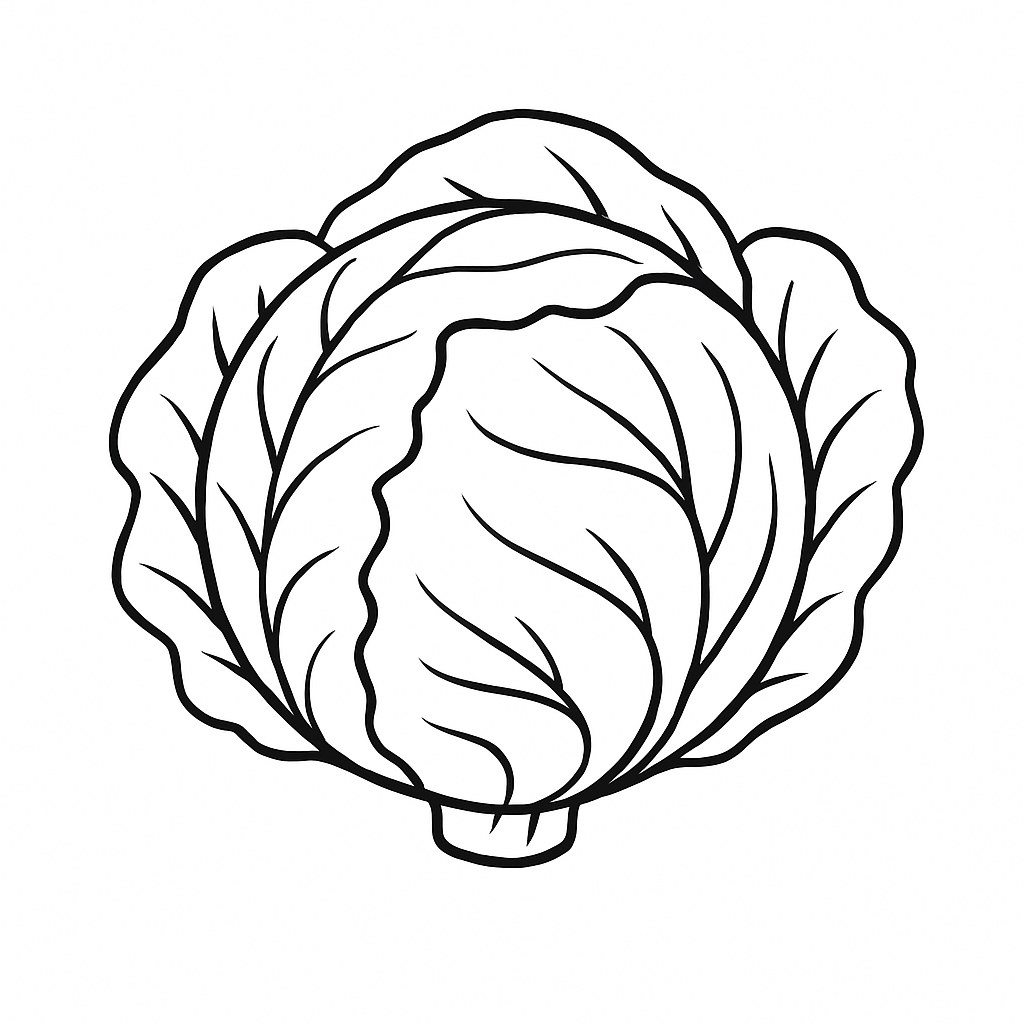 Bắp cải 3D sinh động