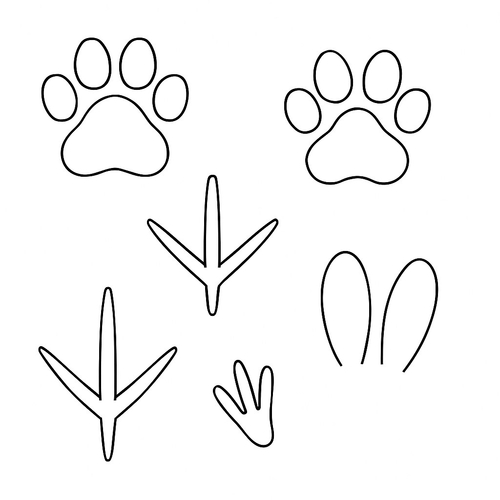 Tranh tô màu bàn chân cho bé dễ thương 2025 – Tải PDF