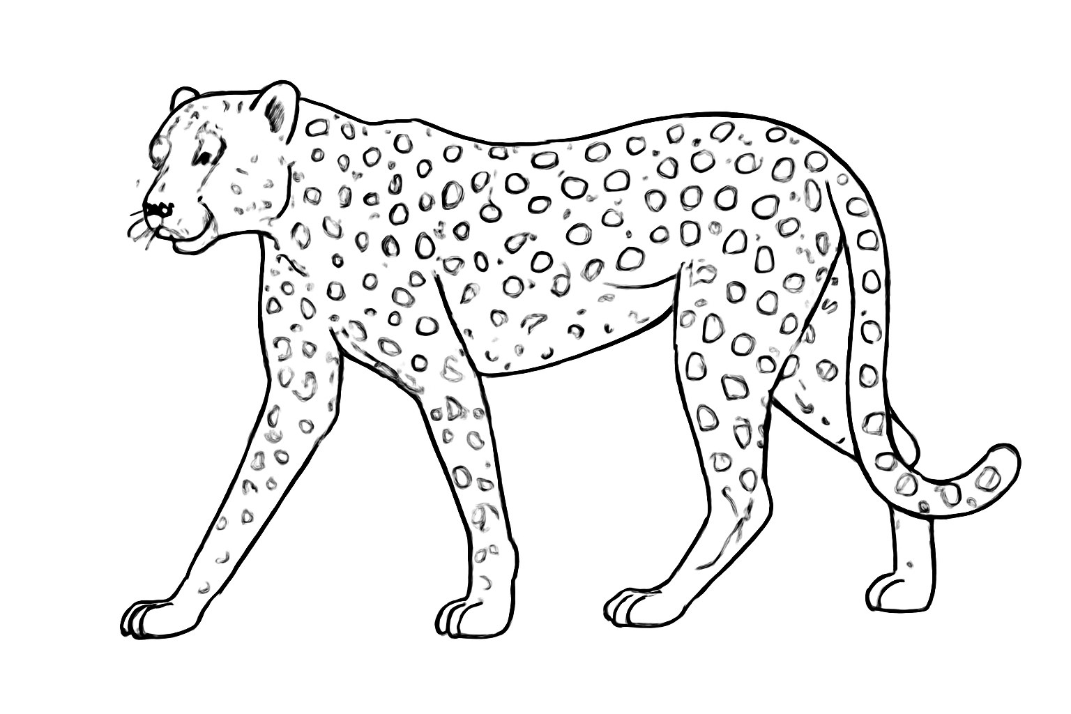 Báo châu Phi chân thực