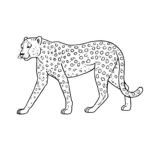 Tô màu con báo 2025 – Tranh tô màu động vật hoang dã cho bé