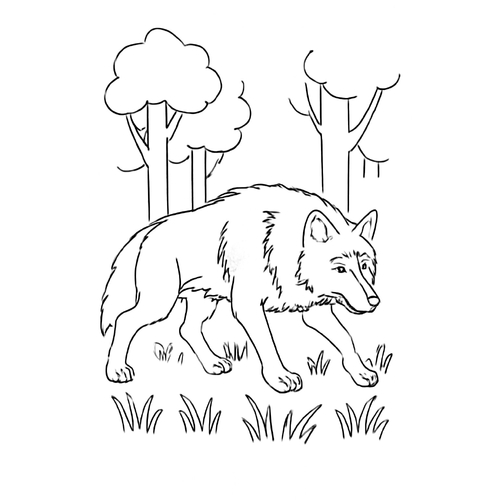 Tô màu con sói 2025 – Tranh tô màu động vật hoang dã cho bé